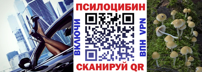 Псилоцибиновые грибы прущие грибы  Купить где  Мегион 