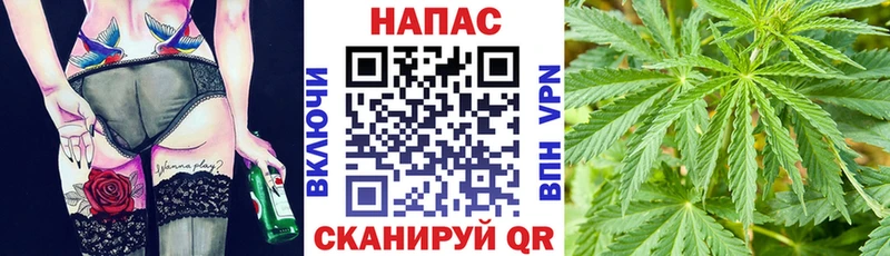 Купить закладки  Мегион  Бошки Шишки VHQ 